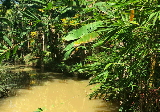 Sacred lake