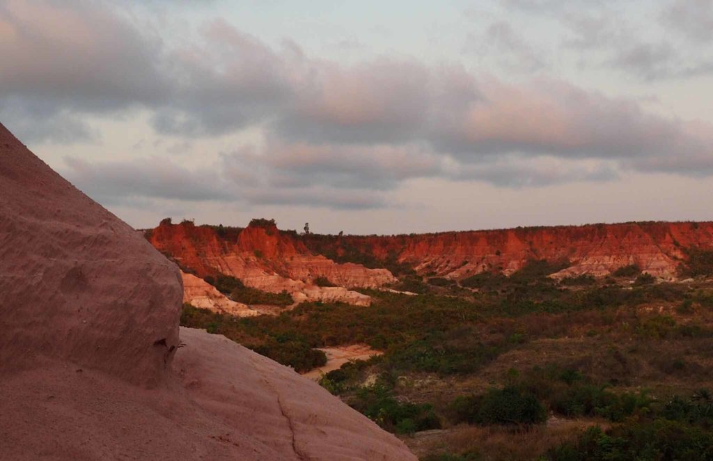 Red circus, Madagascar