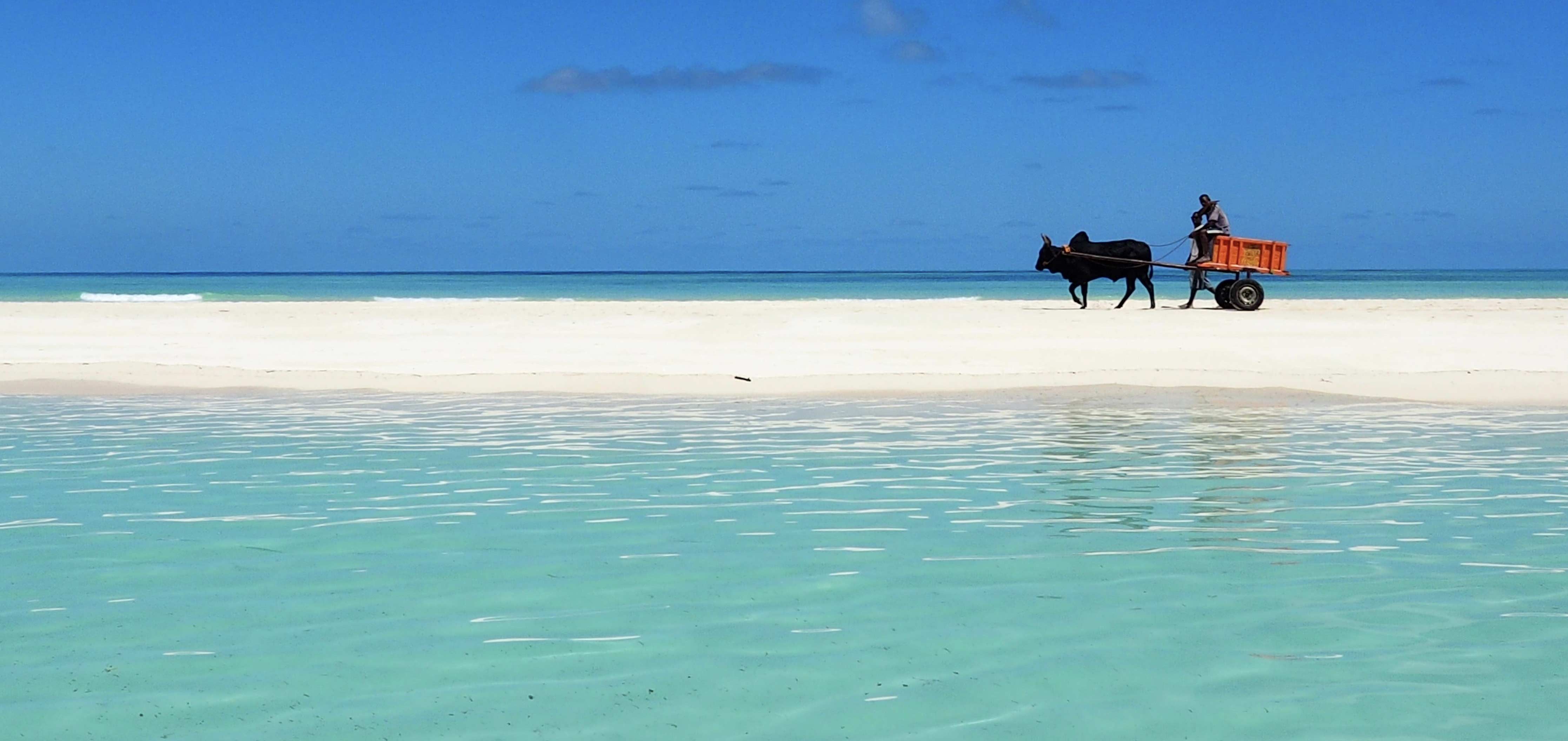 Video gallery - Nosy Iranja, Madagascar